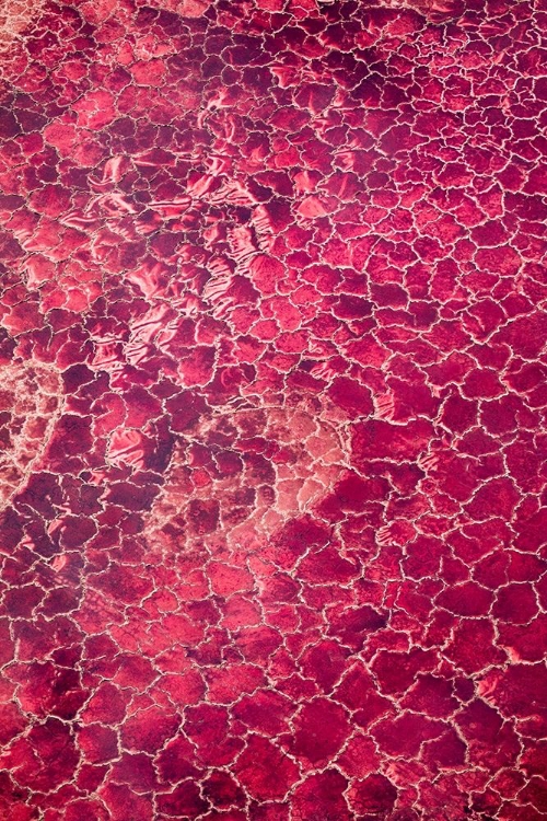 Picture of AFRICA-TANZANIA-AERIAL VIEW OF PATTERNS OF RED ALGAE AND SALT FORMATIONS IN SHALLOW SALT WATERS