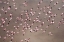 Picture of AFRICA-TANZANIA-AERIAL VIEW OF FLOCK OF GREATER AND LESSER FLAMINGOS FLYING ABOVE SALT WATERS