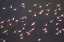 Picture of AFRICA-TANZANIA-AERIAL VIEW OF FLOCK OF GREATER AND LESSER FLAMINGOS FLYING ABOVE SALT WATERS