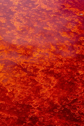 Picture of AFRICA-TANZANIA-AERIAL VIEW OF PATTERNS OF RED ALGAE AND SALT FORMATIONS IN SHALLOW SALT WATERS