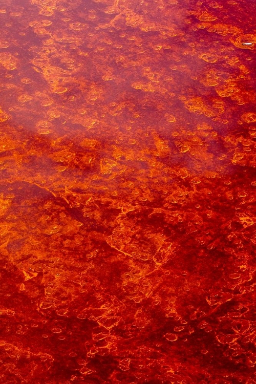 Picture of AFRICA-TANZANIA-AERIAL VIEW OF PATTERNS OF RED ALGAE AND SALT FORMATIONS IN SHALLOW SALT WATERS