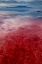 Picture of AFRICA-TANZANIA-ENHANCED CONTRAST AERIAL VIEW OF PATTERNS OF RED ALGAE AND SALT FORMATIONS 