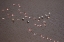 Picture of AFRICA-TANZANIA-AERIAL VIEW OF FLOCK OF GREATER AND LESSER FLAMINGOS FLYING 