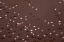 Picture of AFRICA-TANZANIA-AERIAL VIEW OF FLOCK OF GREATER AND LESSER FLAMINGOS FLYING ABOVE SALT WATERS