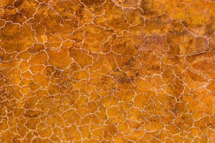 Picture of AFRICA-TANZANIA-AERIAL VIEW OF PATTERNS OF YELLOW ALGAE AND SALT FORMATIONS IN SHALLOW SALT WATERS