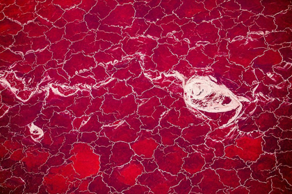 Picture of AFRICA-TANZANIA-AERIAL VIEW OF PATTERNS OF RED ALGAE AND SALT FORMATIONS IN SHALLOW SALT WATERS