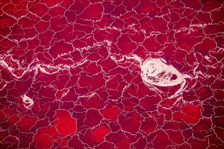 Picture of AFRICA-TANZANIA-AERIAL VIEW OF PATTERNS OF RED ALGAE AND SALT FORMATIONS IN SHALLOW SALT WATERS