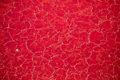 Picture of AFRICA-TANZANIA-AERIAL VIEW OF PATTERNS OF RED ALGAE AND SALT FORMATIONS IN SHALLOW SALT WATERS
