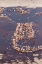 Picture of AFRICA-TANZANIA-AERIAL VIEW OF FLOCK OF LESSER FLAMINGOS NESTING AMONG SALT FLATS