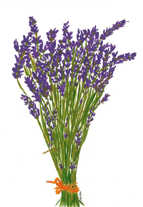 Picture of LAVENDER BOUQUET