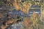 Picture of MAGIC POND II