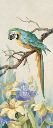 Picture of PARROT PANEL II