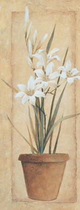 Picture of POTTED LILY
