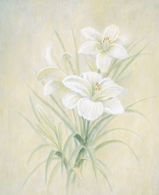 Picture of WHITE LILY