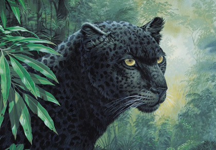 Picture of BLACK PANTHER