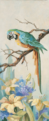Picture of PARROT PANEL I