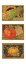 Picture of ASPARAGUS-TOMATO-PUMPKIN
