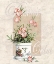 Picture of PRIMROSE