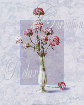 Picture of CARNATION