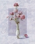 Picture of CARNATION