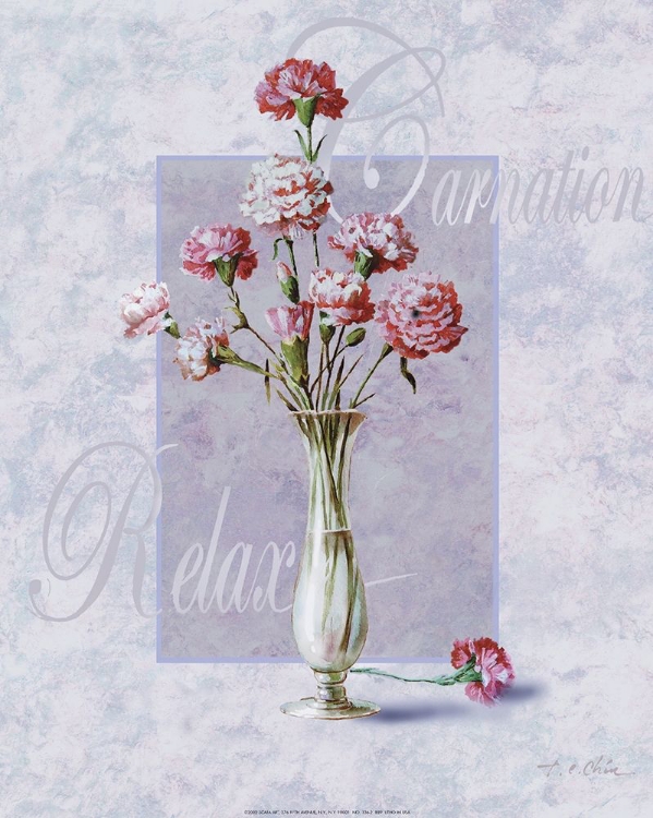 Picture of CARNATION