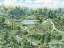 Picture of ESTATE GARDENS