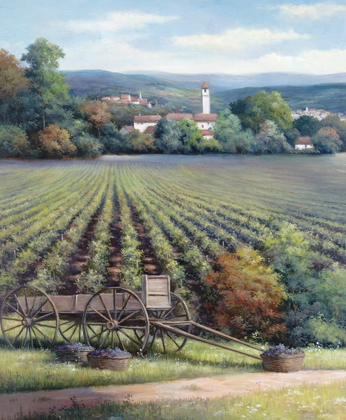 Picture of VINEYARDS I