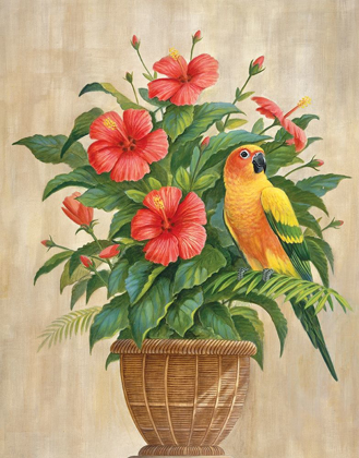 Picture of PARROT AND HIBISCUS