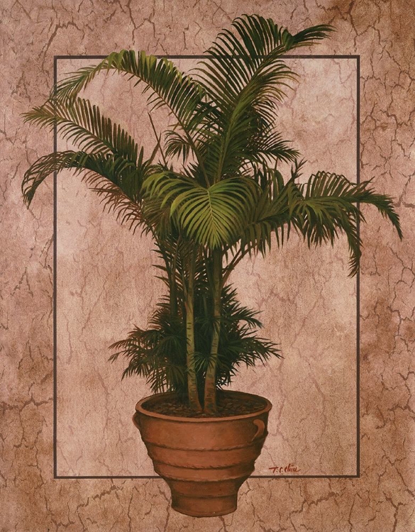 Picture of POTTED PALM II
