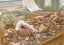 Picture of SEASHELLS I