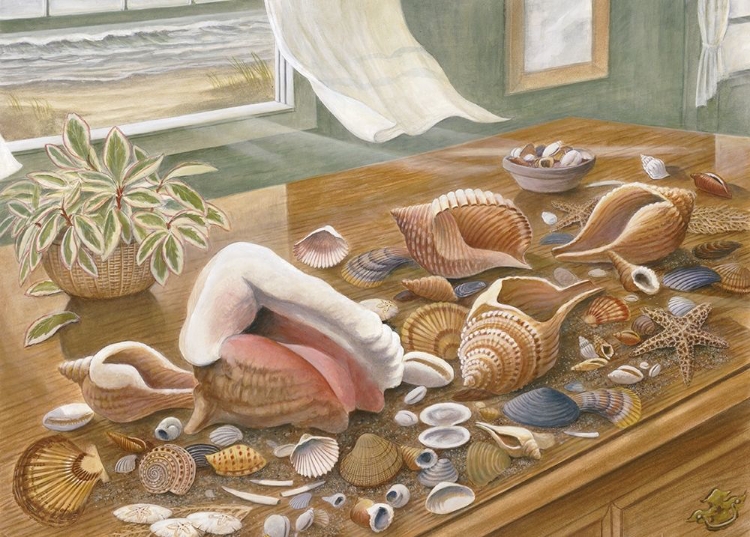 Picture of SEASHELLS I