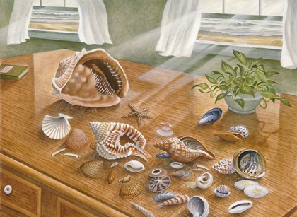 Picture of SEASHELLS II