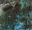 Picture of BY THE BRIDGE