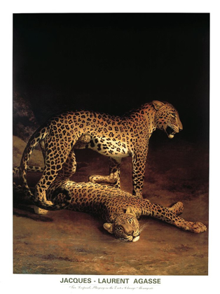 Picture of TWP LEOPARDS