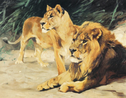 Picture of TWO LIONS