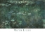 Picture of WATER LILIES