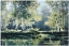 Picture of GREAT SWAMP