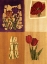 Picture of FLORAL COLLAGE II