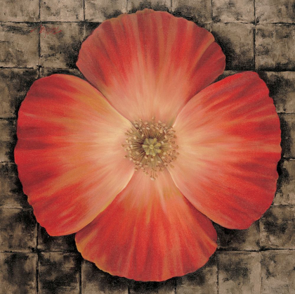 Picture of RED POPPY I