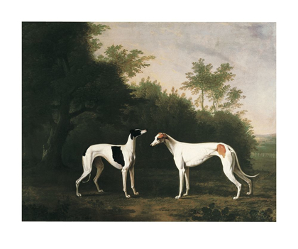 Picture of TWO GREYHOUNDS