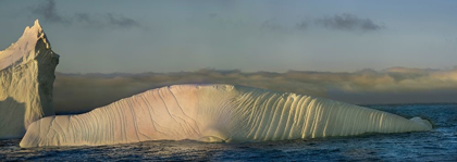 Picture of ANTARCTICA-SOUTH GEORGIA ISLAND-COOPERS BAY ICEBERG SHAPED LIKE ELEPHANT SEAL AT SUNRISE 