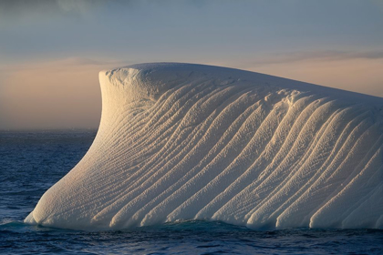 Picture of ANTARCTICA-SOUTH GEORGIA ISLAND-COOPERS BAY ICEBERG AT SUNRISE 