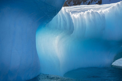 Picture of ANTARCTICA-SOUTH GEORGIA ISLAND-GOLD HARBOR BLUE ICEBERG CLOSE-UP 