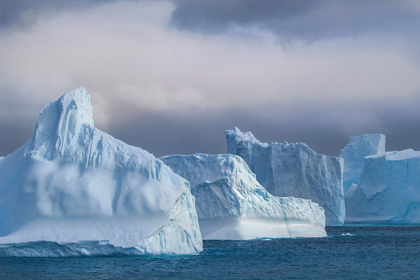 Picture of ANTARCTICA-SOUTH GEORGIA ISLAND-COOPERS BAY ICEBERGS AT SUNRISE 