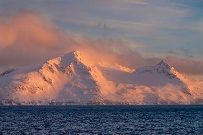 Picture of ANTARCTICA-SOUTH GEORGIA ISLAND-BAY OF ISLES SUNRISE ON MOUNTAIN AND OCEAN 