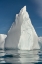 Picture of ANTARCTICA-SOUTH GEORGIA ISLAND-STROMNESS BAY ICEBERG REFLECTS IN OCEAN 
