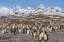 Picture of ANTARCTICA-SOUTH GEORGIA ISLAND-ST ANDREWS BAY LANDSCAPE WITH MOUNTAIN AND KING PENGUIN COLONY 