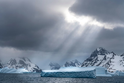 Picture of ANTARCTICA-SOUTH GEORGIA ISLAND SUNBEAMS LIGHT UP ICEBERGS 