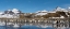 Picture of ANTARCTICA-SOUTH GEORGIA ISLAND-SALISBURY PLAIN PANORAMIC OF KING PENGUINS REFLECTING