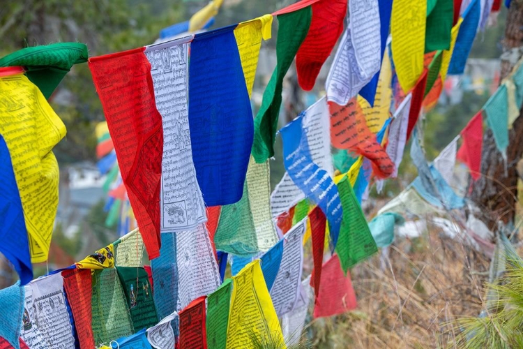 Picture of BHUTAN-THIMPHU COLORFUL PRAYER FLAGS ON MOUNTAIN TOP AT THE SANGAYGANG GEODETIC STATION